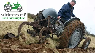 Vintage Farming Documentary - Growing Potatoes in Ireland