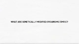 What are genetically modified organisms?