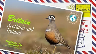 Tropical Birding Virtual Nature Tour of Scotland & Ireland by Charley Hesse
