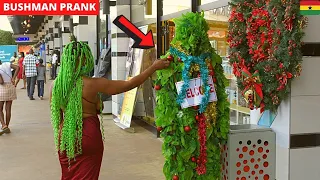 😂😂😂She Thought It Was A Christmas Tree! Bushman Prank.