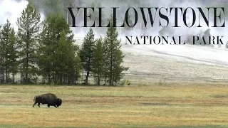 27 Hours in Yellowstone National Park