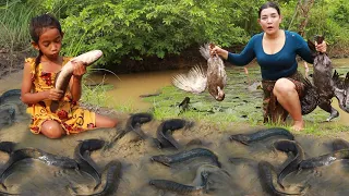 Top survival skill-Catch duck & many fish in forest- Cooking duck soup spicy & Grill fish for dinner