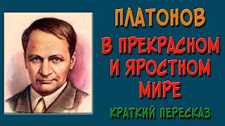 В прекрасном и яростном мире. Краткое содержание