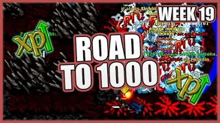 Road to 1000 - Week 19