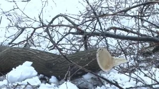 Рятувальники ліквідовують наслідки квітневої негоди