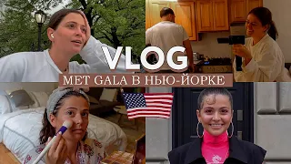 VLOG // Иду на Met Gala, как проходит ивент? Увидела звёзд // Кто меня кормит? // Крысы на форуме