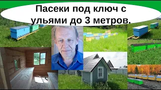 Пасеки с нуля под ключ. 2-3 метровые ульи в Апидомике и на Владимирских ульях-лежаках Якимова. Обзор