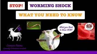 Worming Shock:  When Sheep and Goats Die From Worming!  Cause, Prevention, and Treatment!