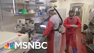 Why Was It So Hard To Come Up With A Test For The Coronavirus? | MTP Daily | MSNBC