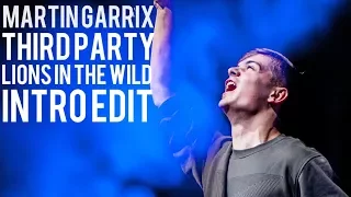 Martin Garrix & Third Party - Lions in the wild (Intro edit)