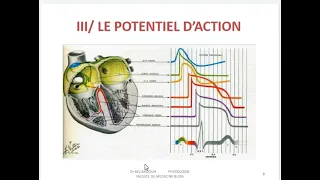 ELECTROPHYSIOLOGIE CARDIAQUE | 2eme année med