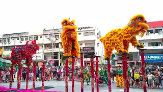 The Starling Mall - 3 Acrobatic Lion Dance 2023