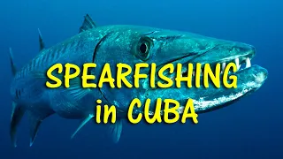 Cuba's Courageous Spearfisherman - and His Deadly Catch