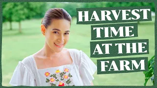 FARM UPDATE: OUR NEW VEGETABLE GARDEN + LAZY RAINY AFTERNOON AT BEATI FIRMA | Bea Alonzo