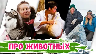 ТОП фильмов про ЖИВОТНЫХ, которые заставят вас плакать