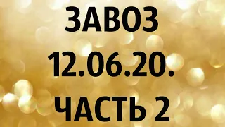 🌸Продажа орхидей. ( Завоз 12. 06. 20 г.) Отправка только по Украине. ЗАМЕЧТАТЕЛЬНЫЕ КРАСОТКИ👍