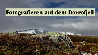 Norwegen 2022 - Dovrefjell (Teil 1)
