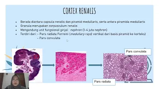 Praktikum Histologi Blok 5