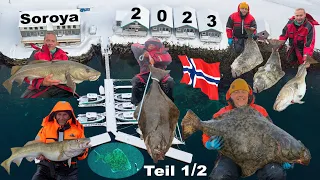 Fishing in Norway 2023 - Extreme Soroya Part 1/2