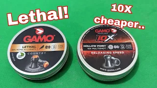 Gamo 10x multishot  air rifle pellets, 10x cheaper and better than the gamo lethal?