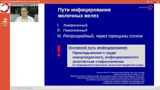 Экспертология | Послеродовой мастит и лактостаз Пустотина О.А.