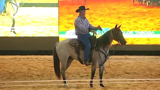 Francisco Carlos Taboga (Cavalo de Apartação)