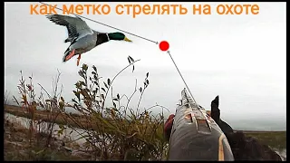 КАК НАУЧИТСЯ МЕТКО СТРЕЛЯТЬ НА ОХОТЕ