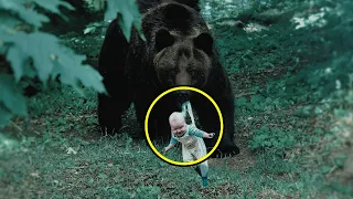 The Bear brought the Baby to people, Risking its life. Why the animal did it is simply incredible!