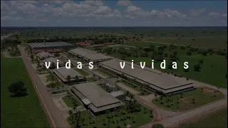 Vidas Vividas - Fazenda Nova Piratininga 2019