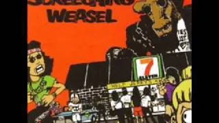 30 I Hate Led Zeppelin (Demo Version) by Screeching Weasel