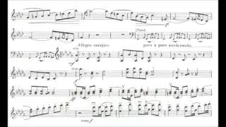 Tsjaikovski, Pjotr I.  Romance op.5 for violin + orchestra