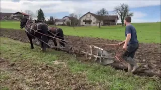 Farming the old way | Ploughing with Horses