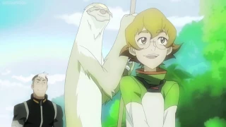 Paladin Pidge: In the Name of Love