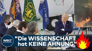 "KLIMA-BRANDSTIFTER" - Auch der US-Wahlkampf steht in Flammen