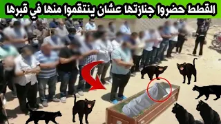 القطط مشيت في جنازتها عشان ياخدوا حقهم منها وعندما فتحوا قبرها كانت المفاجأه