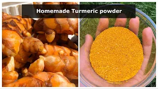 How to make turmeric powder? | The Millennial Farmer PH