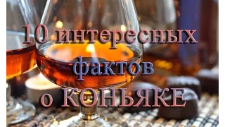 10 интересных фактов о коньяке