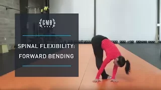 Spinal Flexibility Routine - Forward Bending