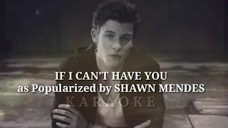 Shawn Mendes - If I Can't Have You ( KARAOKE/ BV)