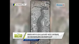 Balitang Bisdak: Banakon napatay