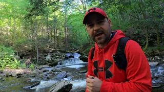 The Most Scenic Trail in PA! - Falls Trail Ricketts Glen