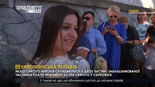 Випуск новин на ПравдаТУТ Львів 19.09.2018