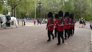 12 Company Irish Guards and 7 Company Coldstream Guards