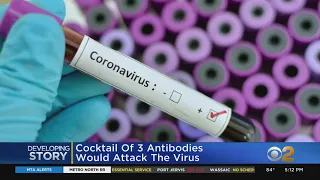 Potential Coronavirus Treatment Using Antibodies In The Works