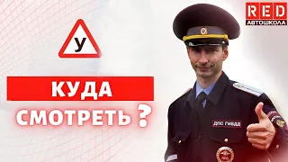 Куда смотреть водителю, чтобы избежать ДТП? Автошкола RED