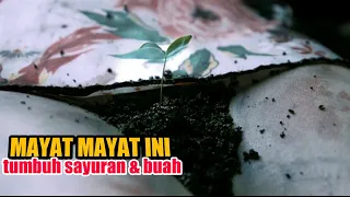 PANEN SAYURAN DARI MAYAT - alur film human space time & human