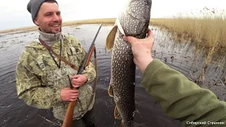 Поехали за уткой.  Герка поймал большую щуку