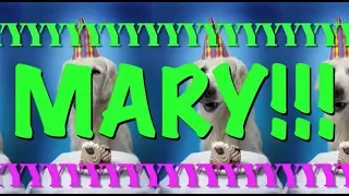 HAPPY BIRTHDAY MARY! - EPIC Happy Birthday Song