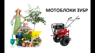 Мотоблоки ЗУБР МТБ-300 и МТБ-400 - Убийцы НЕВЫ!