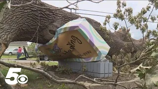 How local Rogers businesses recover after being destroyed by severe storms